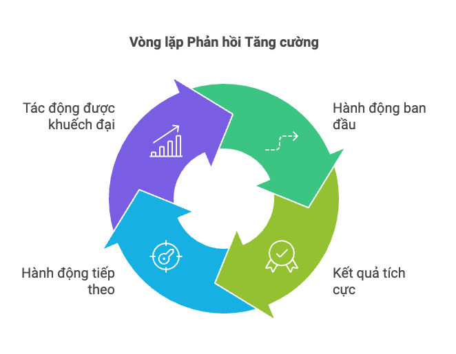 Vòng lặp Phản hồi Tăng cường – Tạo đà phát triển trong hệ thống